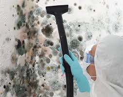 Stryker, OH Mold Remediation Company